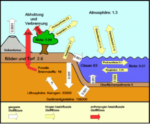 Carbon Cycle 1